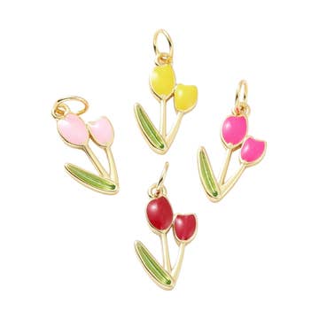 Pops of Color Charm Collection